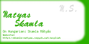 matyas skamla business card
